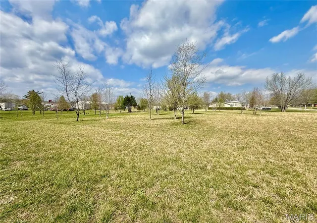 Homes for sale in Fredericktown, MO | 0 County Road 334, Fredericktown, MO 63645 | MLS# MIS26019550