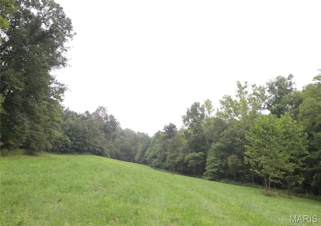 Photo 4 of Land for sale at 65 +/- Acres Pendleton Lost Creek Rd, Warrenton, MO 63383 | MLS# MIS26019664 | Listing updated on 2026-08-17