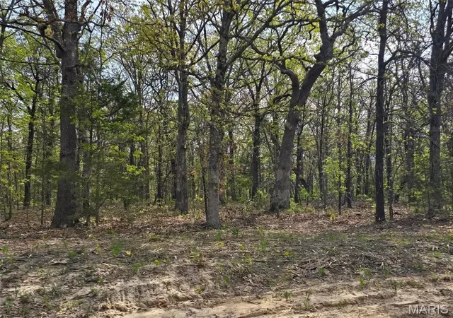 Homes for sale in Lebanon, MO | Tract L Greatview Lane, Lebanon, MO 65536 | MLS# MIS26019776