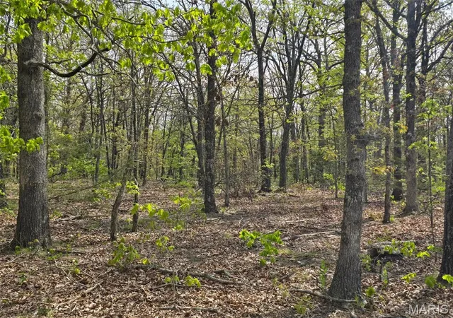 Homes for sale in Lebanon, MO | Tract L Greatview Lane, Lebanon, MO 65536 | MLS# MIS26019776