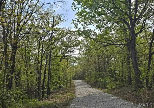 Homes for sale in Lebanon, MO | Tract R Greatview Lane, Lebanon, MO 65536 | MLS# MIS26019791
