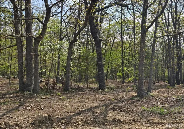 Homes for sale in Lebanon, MO | Tract S Greatview Lane, Lebanon, MO 65536 | MLS# MIS26019797