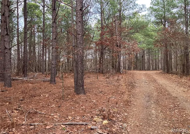 Photo 2 of Land for sale at 216 Madison Cr 410, Fredericktown, MO 63645 | MLS# MIS26019882 | Listing updated on 2026-04-04