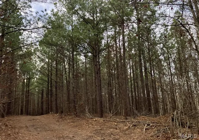 Photo 3 of Land for sale at 216 Madison Cr 410, Fredericktown, MO 63645 | MLS# MIS26019882 | Listing updated on 2026-04-04