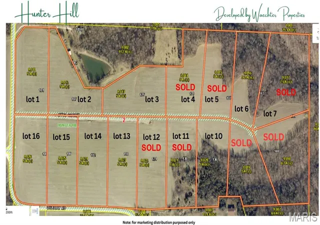 10th image of 136 Otto Ct, Silex, MO 63377 | MLS# MIS26020409