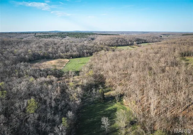 Homes for sale in St James, MO | Tbd County Road 3600, St James, MO 65559 | MLS# MIS26020532
