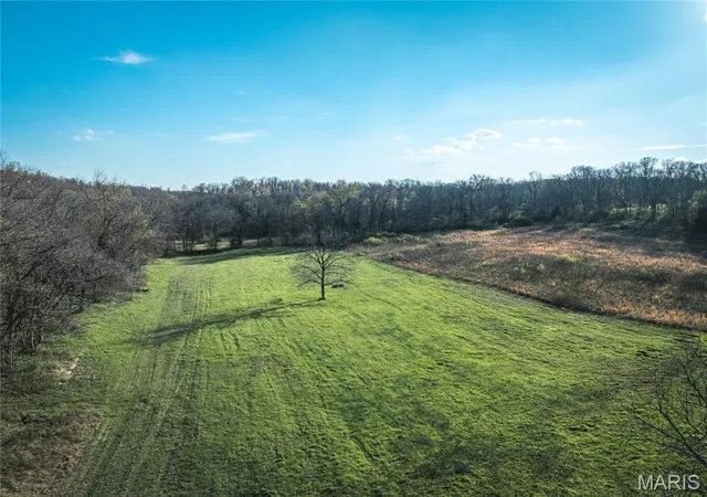 Homes for sale in St James, MO | Tbd County Road 3600, St James, MO 65559 | MLS# MIS26020532