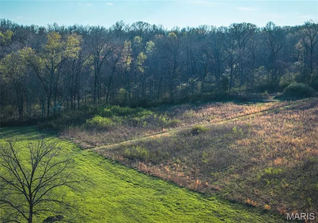 Homes for sale in St James, MO | Tbd County Road 3600, St James, MO 65559 | MLS# MIS26020532
