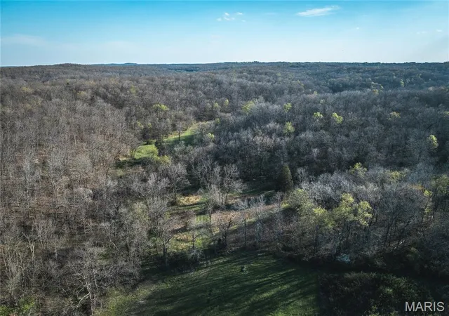 Homes for sale in St James, MO | Tbd County Road 3600, St James, MO 65559 | MLS# MIS26020532