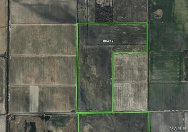 Photo 3 of Land for sale at 000 Cr 706 #2, East Prairie, MO 63845 | MLS# MIS26020639 | Listing updated on 2026-04-09