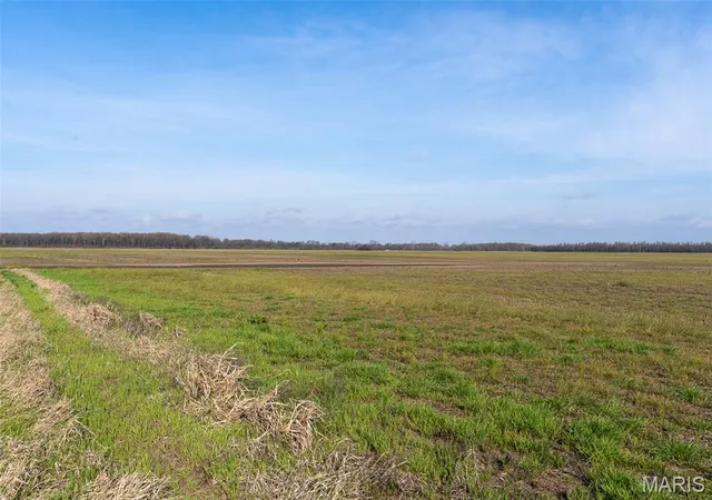2nd image of 000 State Hwy 80 #5, East Prairie, MO 63845 | MLS# MIS26020676
