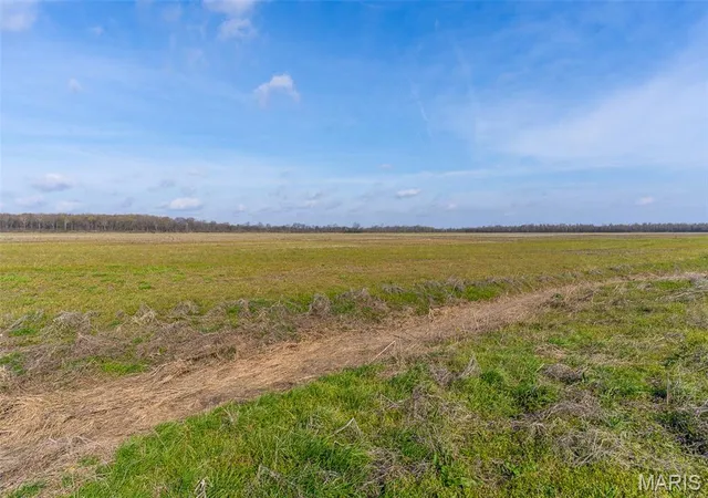 5th image of 000 State Hwy 80 #5, East Prairie, MO 63845 | MLS# MIS26020676