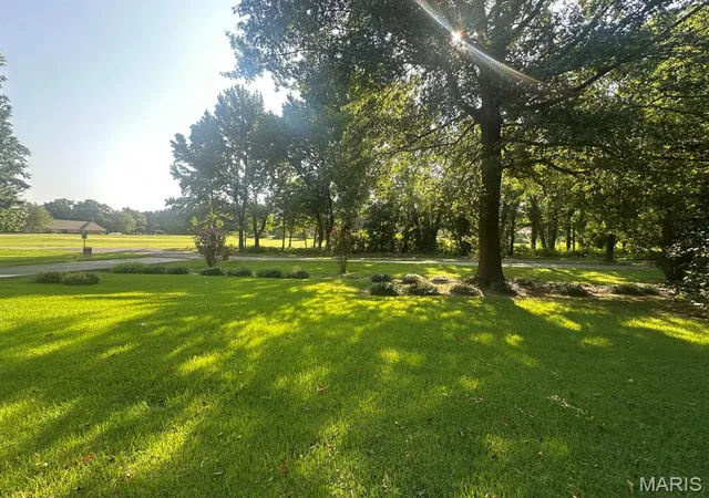 5th image of 11287 Cypress Point Ln, Dexter, MO 63841 | MLS# MIS26020681