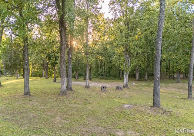 Homes for sale in Center, MO | 21667 Kirtley Trail, Center, MO 63436 | MLS# MIS26020952