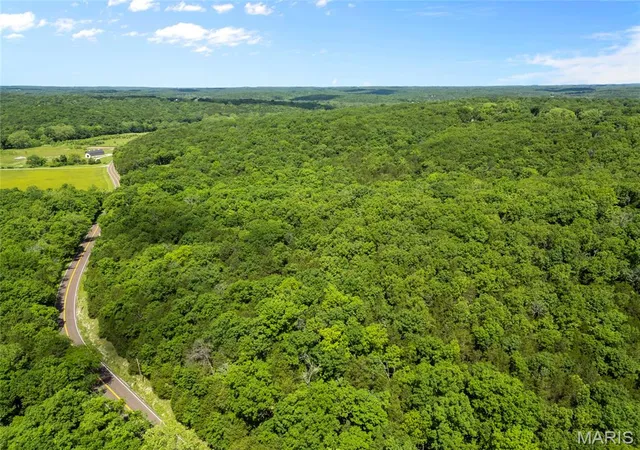 9th image of 0 Victoria Rd, Festus, MO 63028 | MLS# MIS26021022