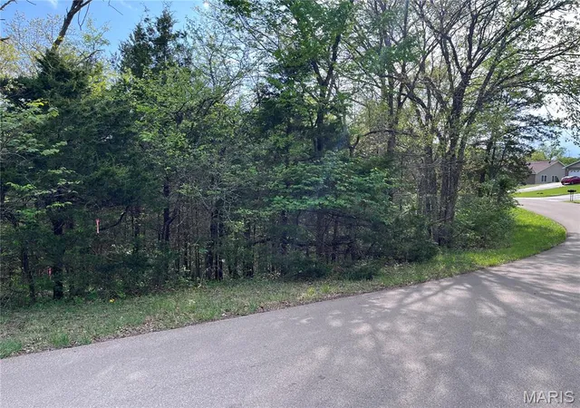Homes for sale in Bonne Terre, MO | 0 Napoleon Dr, Bonne Terre, MO 63628 | MLS# MIS26021427