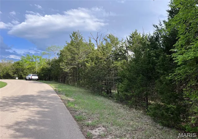 Homes for sale in Bonne Terre, MO | 0 Napoleon Dr, Bonne Terre, MO 63628 | MLS# MIS26021427