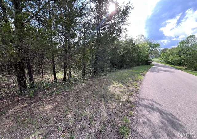 Homes for sale in Bonne Terre, MO | 0 Napoleon Dr, Bonne Terre, MO 63628 | MLS# MIS26021427