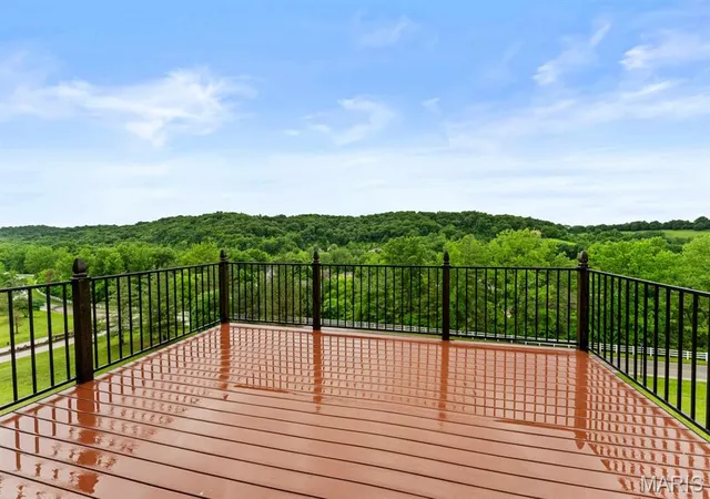 18th image of 272 Merlot Ln, Saint Albans, MO 63073 | MLS# MIS26021761