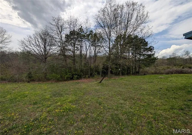 Homes for sale in Phillipsburg, MO | 17221 Chicory Ln, Phillipsburg, MO 65722 | MLS# MIS26022032
