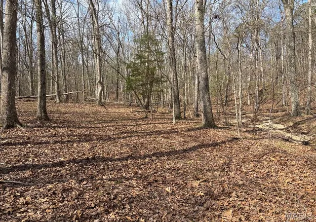 Homes for sale in Potosi, MO | 0000 W State Hwy 8, Potosi, MO 63664 | MLS# MIS26022351