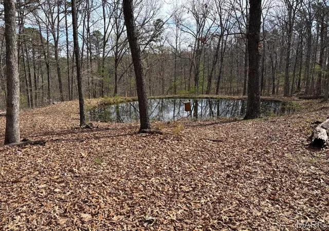 Photo 3 of Land for sale at 0000 W State Hwy 8, Potosi, MO 63664 | MLS# MIS26022351 | Listing updated on 2026-08-12