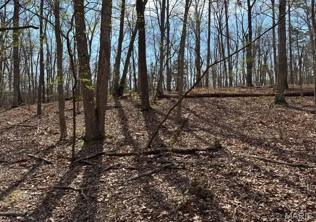 Photo 3 of Land for sale at 0000 W State Hwy 8, Potosi, MO 63664 | MLS# MIS26022351 | Listing updated on 2026-10-09