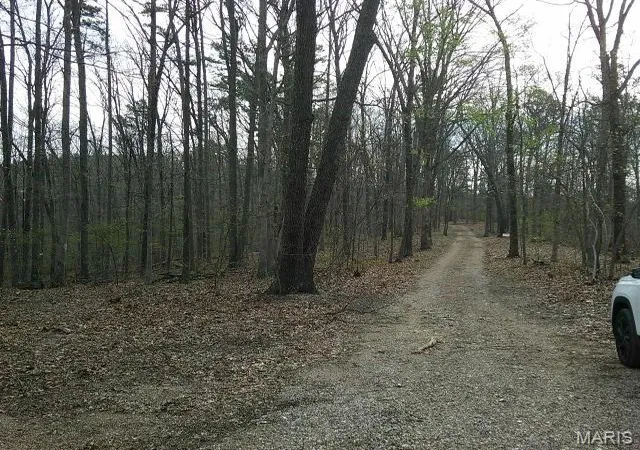 Homes for sale in Potosi, MO | 0000 W State Hwy 8, Potosi, MO 63664 | MLS# MIS26022351