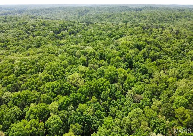 Homes for sale in Potosi, MO | 000 W State Hwy 8, Potosi, MO 63664 | MLS# MIS26022361