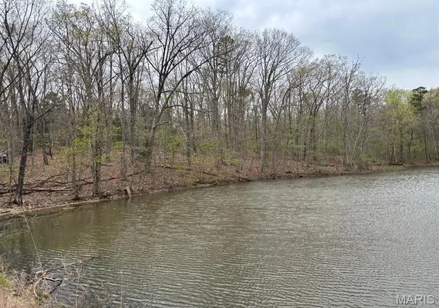 Homes for sale in Potosi, MO | 000 W State Hwy 8, Potosi, MO 63664 | MLS# MIS26022361