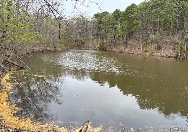 Homes for sale in Potosi, MO | 000 W State Hwy 8, Potosi, MO 63664 | MLS# MIS26022361