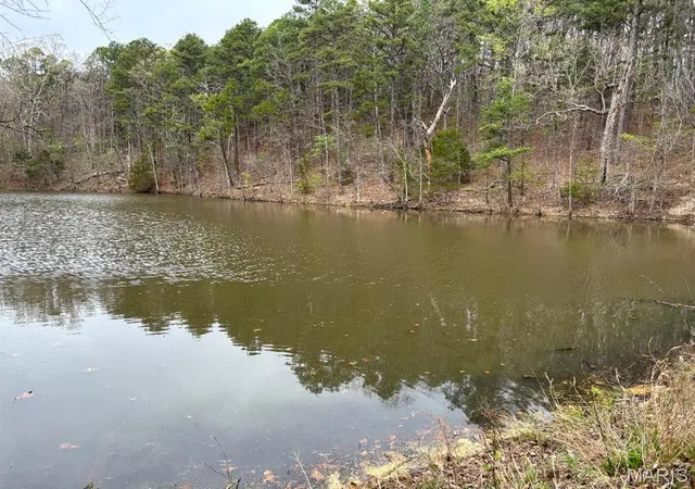 Homes for sale in Potosi, MO | 000 W State Hwy 8, Potosi, MO 63664 | MLS# MIS26022361