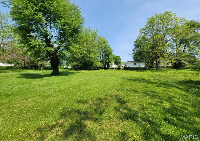 Homes for sale in Louisiana, MO | 1013 Texas St, Louisiana, MO 63353 | MLS# MIS26022752
