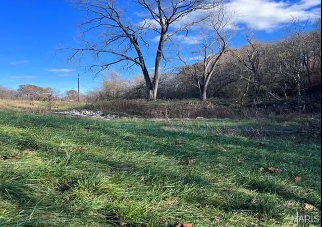 Photo 1 of Land for sale at 454 State Hwy 177, Jackson, MO 63755 | MLS# MIS26022771 | Listing updated on 2026-04-16