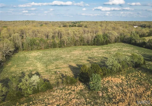 Homes for sale in Steelville, MO | 17665 Hwy 19, Steelville, MO 65565 | MLS# MIS26023042