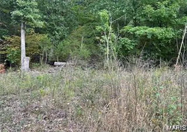 Photo 1 of Land at 0 Lake Shore Dr, Owensville, MO 65066 | MLS# MIS26023174 | | Sold on 2026-05-14