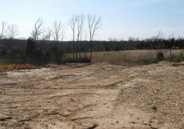Homes for sale in St Clair, MO | 0 Crews Dr, St Clair, MO 63077 | MLS# MIS26023311