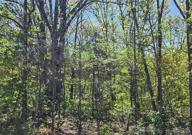 Photo 4 of Land for sale at 3906 Red Bud Dr, Catawissa, MO 63015 | MLS# MIS26023521 | Listing updated on 2026-09-18