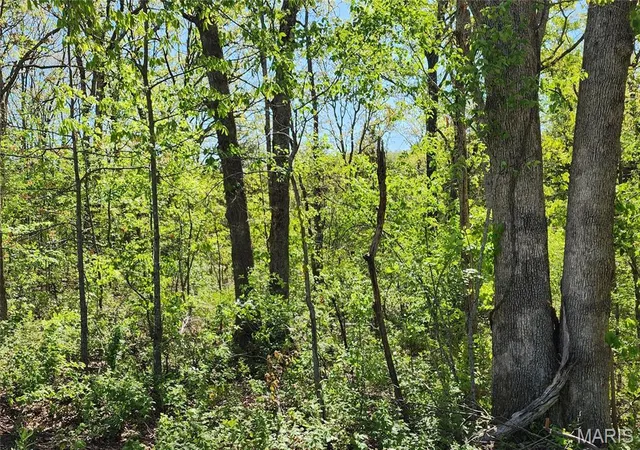 Photo 4 of Land for sale at 3906 & 3910 Red Bud Dr, Catawissa, MO 63015 | MLS# MIS26023524 | Listing updated on 2026-09-18