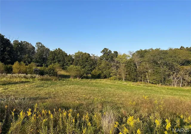 Homes for sale in Hannibal, MO | 53424 Trabue Lane, Hannibal, MO 63401 | MLS# MIS26023766