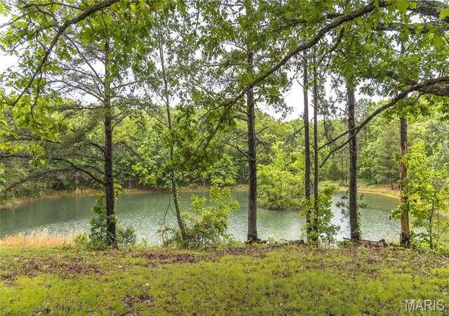 Homes for sale in Salem, MO | 1095 County Road 5390, Salem, MO 65560 | MLS# MIS26023814