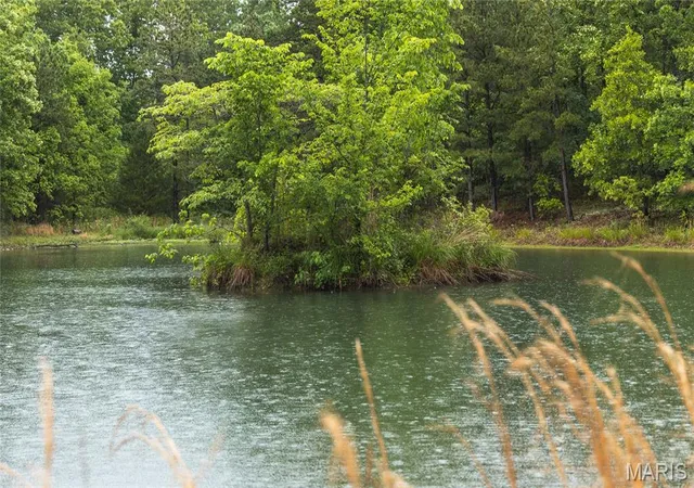 Homes for sale in Salem, MO | 1095 County Road 5390, Salem, MO 65560 | MLS# MIS26023814