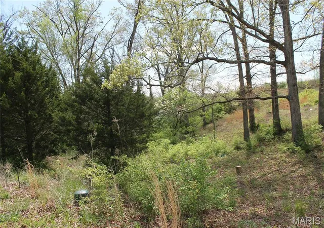 Homes for sale in St Clair, MO | 0 Oakridge Estate Block 2 Lot 40, St Clair, MO 63077 | MLS# MIS26024072