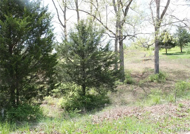 Homes for sale in St Clair, MO | 0 Oakridge Estate Block 2 Lot 40, St Clair, MO 63077 | MLS# MIS26024072