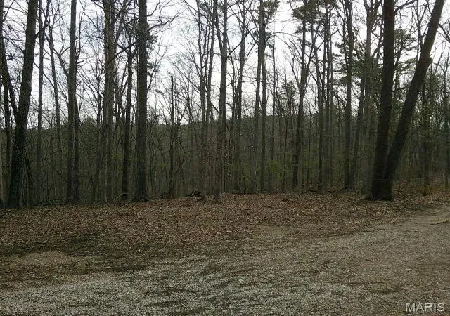 Homes for sale in Potosi, MO | 0000000 W Hwy 8, Potosi, MO 63664 | MLS# MIS26024091