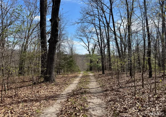 2nd image of 24755 Mayapple Ln, Lebanon, MO 65536 | MLS# MIS26024142