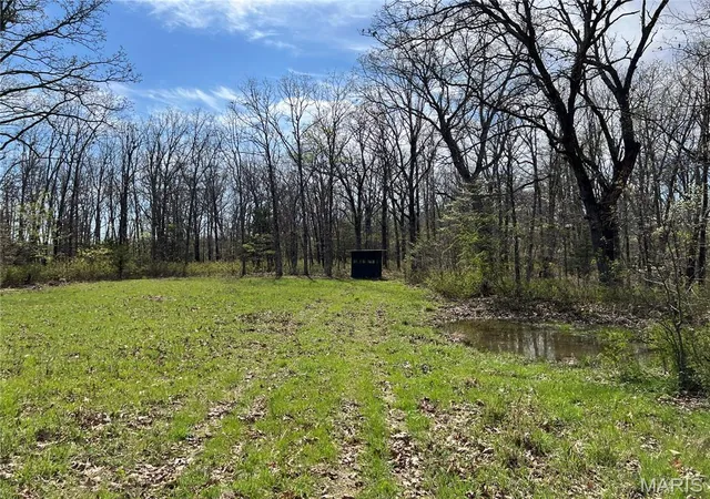 3rd image of 24755 Mayapple Ln, Lebanon, MO 65536 | MLS# MIS26024142