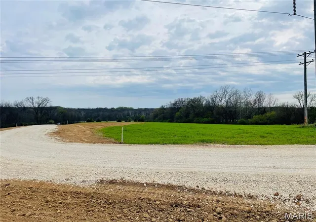 Homes for sale in Winfield, MO | 225 Red Mare Rd, Winfield, MO 63389 | MLS# MIS26024822