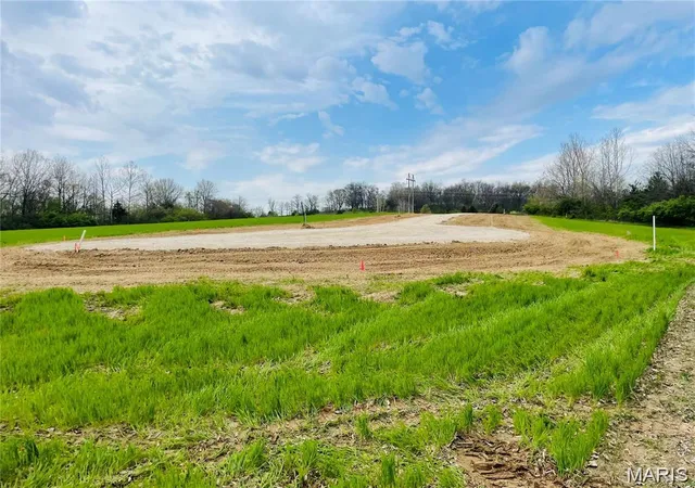 Homes for sale in Winfield, MO | 225 Red Mare Rd, Winfield, MO 63389 | MLS# MIS26024822