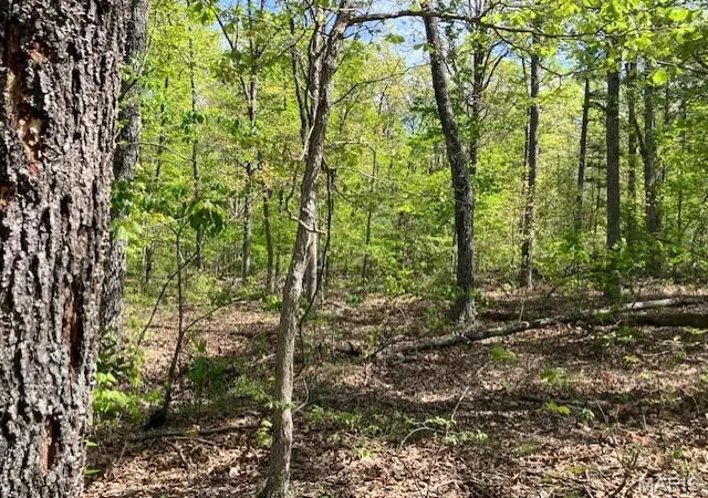 3rd image of 11 W State Hwy 8, Potosi, MO 63664 | MLS# MIS26024853